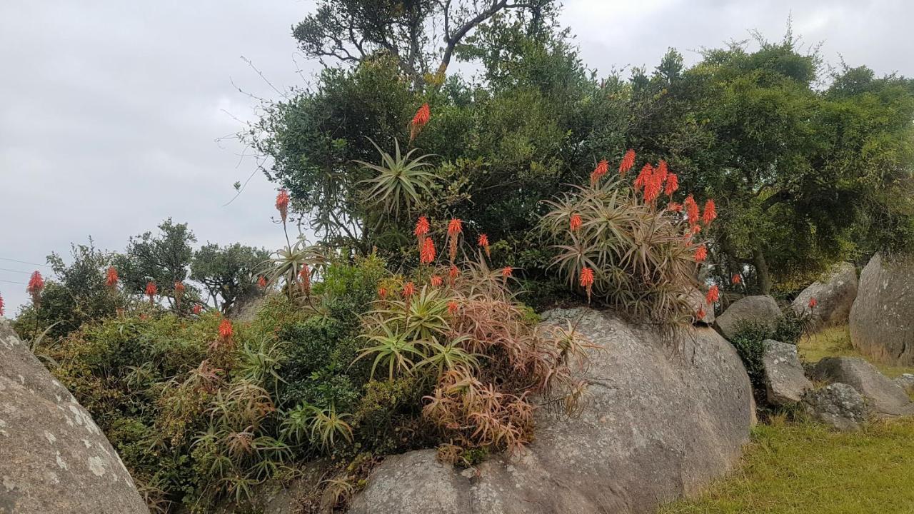Mdzimba Mountain Lodge エズルウィニ エクステリア 写真